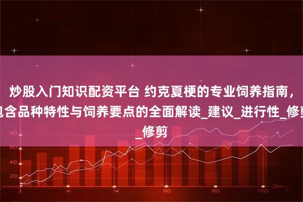炒股入门知识配资平台 约克夏梗的专业饲养指南，包含品种特性与饲养要点的全面解读_建议_进行性_修剪